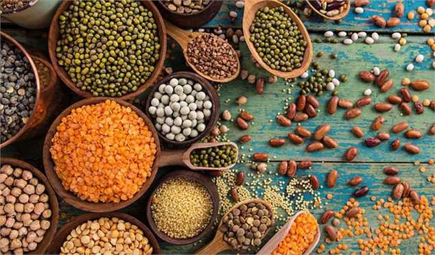 قیمت حبوبات کاهشی می‌شود