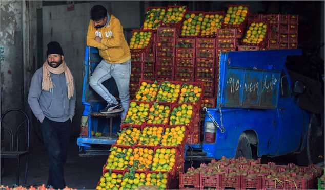 صدور فاکتور رسمی برای عمده‌فروشان میوه و تره‌بار الزامی شد