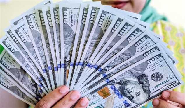 ثبت‌نام دلار دولتی برای همه دارندگان کارت ملی / فقط ۳۲ روز فرصت دارید!