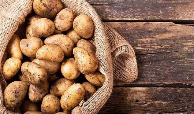 سیب زمینی‌های وارداتی محصول ایران هستند!