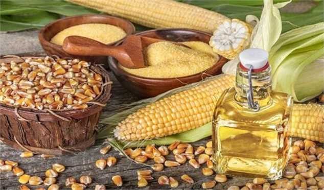 دانه‌های روغنی در حادثه اسکله شهید رجایی آسیبی ندیدند