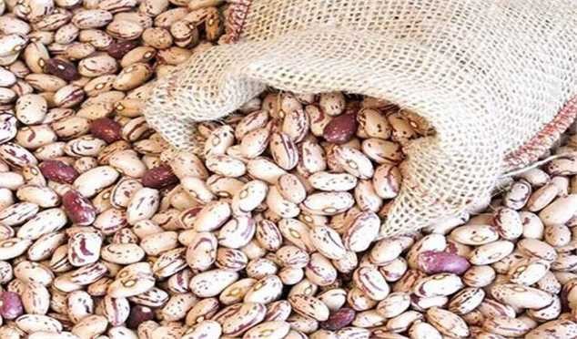فروش هرکیلو لوبیا چیتی با قیمت ۵۰۰ هزارتومان کاملا تخلف است