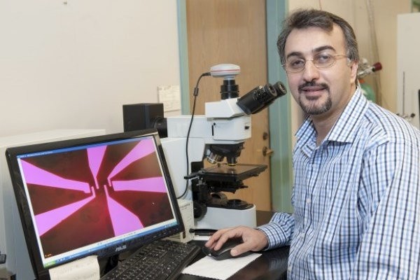 دانشمند ایرانی جزو ۱۰۰ متفکر برتر «فارین پالیسی»