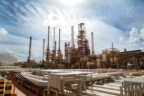 جامه سبز نیما بر قامت پتروشیمی‌ها