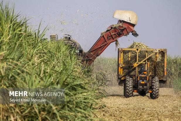 ابلاغیه جدید درباره واردات ماشین‌آلات کشاورزی کارکرده