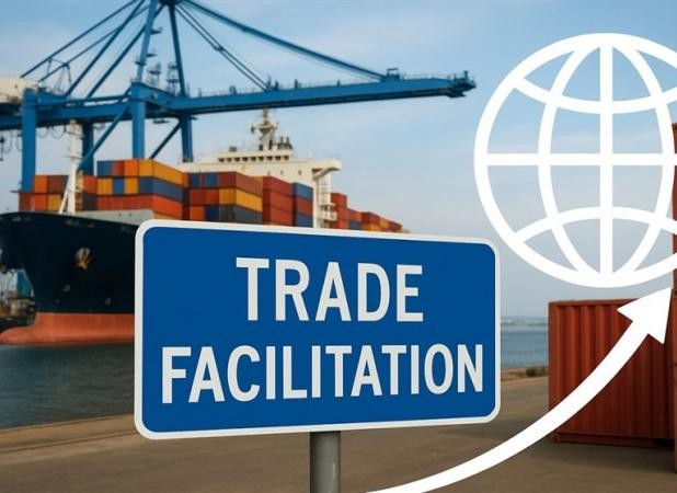 طرح وزارت اقتصاد برای شکستن گره‌های گمرکی