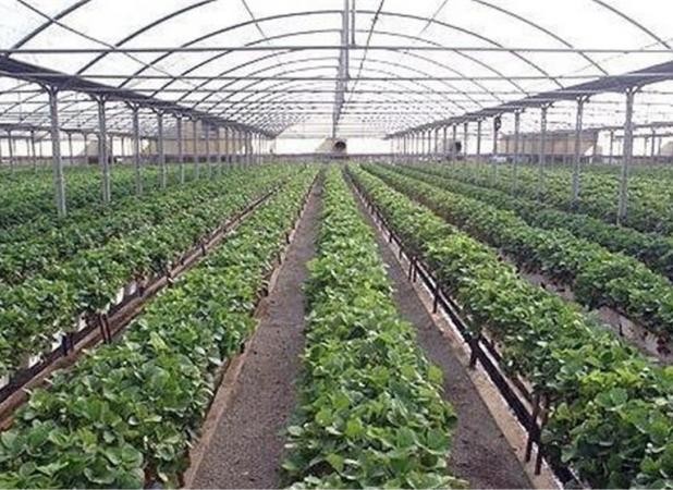 نرخ گاز گلخانه‌ها پس از ۱۸ سال، افزایش یافت