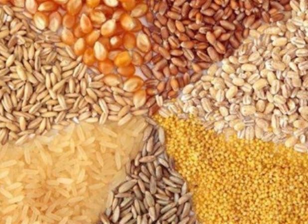 قیمت مصوب جدید نهاده‌های دامی، روغن و شکر خام اعلام شد