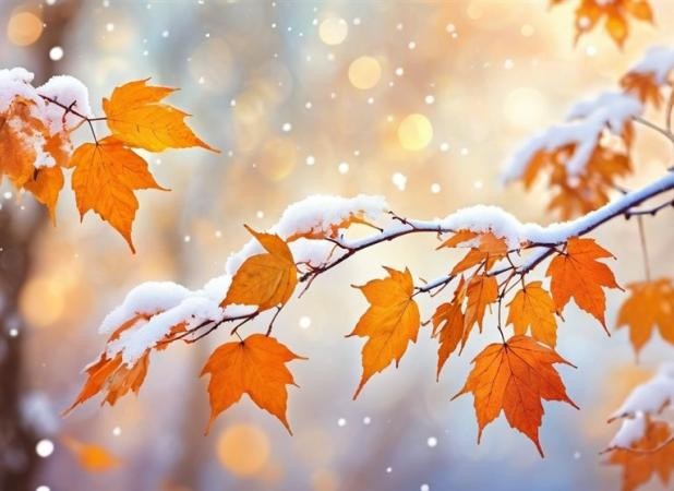 هواشناسی ایران۱۴۰۴/۷/۱؛هشدار نارنجی فعالیت سامانه بارشی در ۱۰ استان/بارش اولین برف پاییزی