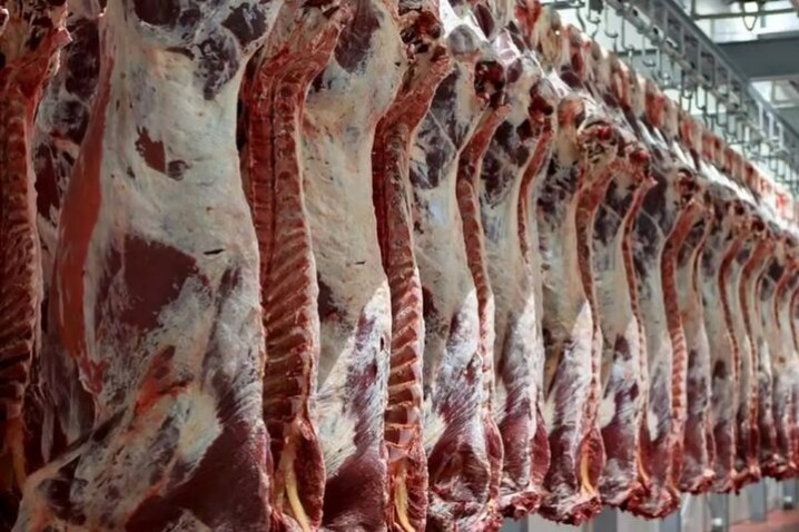 توزیع گوشت گرم گوساله وارداتی در میادین تره‌بار آغاز شد