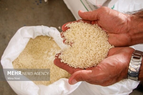 دپوی بلاتکلیف برنج وارداتی برای ذخایر استراتژیک در گمرک