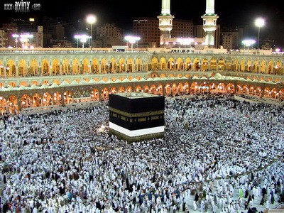 زائران حج 96 برنامه های آموزشی را الکترونیکی فرا می گیرند