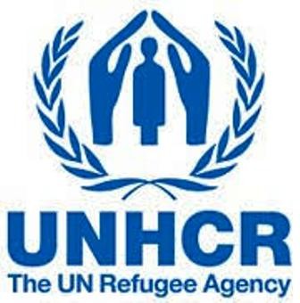 حدود نیم میلیون آواره سوری به سوریه بازگشتند