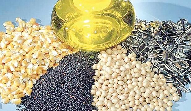 ثبت سفارش دانه‌های روغنی آغاز شد