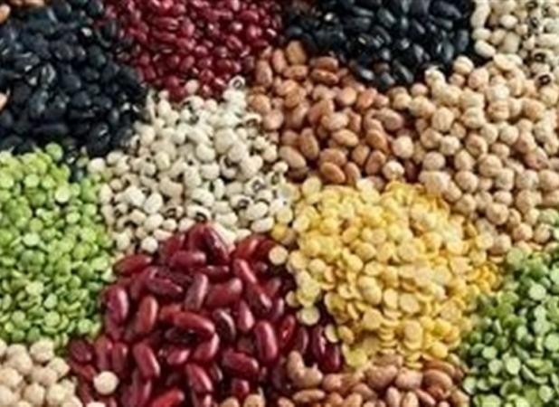 چرا تورم حبوبات از ۶۰ درصد عبور کرد؟/ ارز ترجیحی برای پالم و شکلات، ارز توافقی برای حبوبات