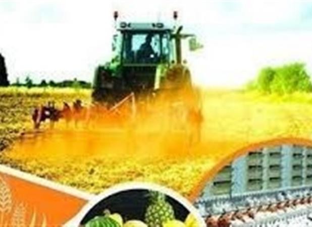 الگوی کشت تا مهر ابلاغ می‌شود