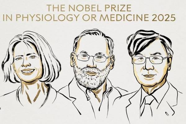برندگان جایزه نوبل پزشکی ۲۰۲۵ معرفی شدند