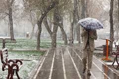 باران برای 14 استان / وزش باد شدید در 6 استان