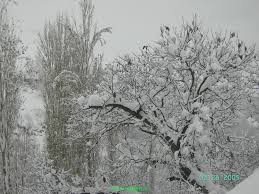 ماندگاری هوای سرد تا پایان هفته