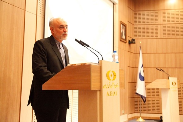 صالحی: اگر برجام بهم بخورد ما آنها را حیرت زده خواهیم کرد