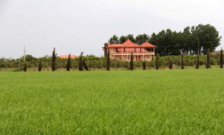 «ویلاسازی»، فاجعه ای که کشاورزی را می بلعد