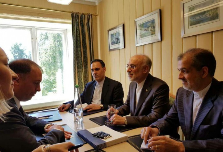 تلاش اروپا برای تداوم همکاری با ایران جدی است