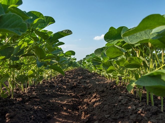 ‘Green chemicals’: The next industrial revolution?