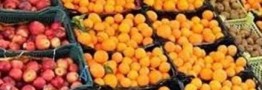 عرضه میوه شب عید آغاز شد / قیمت ها چگونه است؟