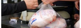 دلایل گرانی شدید گوشت مرغ