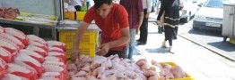 مقصر جدید گرانی گوشت مرغ
