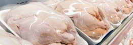 قطعه&zwnj;بندی گوشت مرغ، ممنوع است