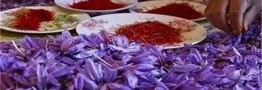 قیمت عجیب زعفران در بازار