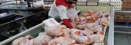 قیمت جدید مرغ در بازار