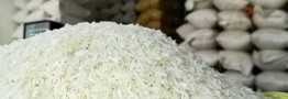 قیمت برنج در استان های شمالی چند؟