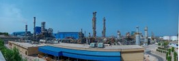 نوسانات قیمت خوراک و چالش های پیش روی پتروشیمی ها