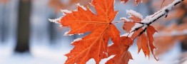 هواشناسی ایران ۱۴۰۳/۸/۲؛ بارش باران و برف در ۲۴ استان