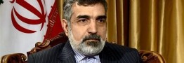 کمالوندی: بدون روس&zwnj;ها هم قادر به ادامه تولید ایزوتوپ&zwnj;های پایدار هستیم