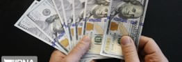 تورم و تراز تجاری منفی حاصل سیاست&zwnj;های ارزچند نرخی در نیم قرن گذشته است