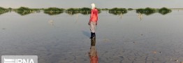 تاکید دولت بر تامین حقابه هامون/ افغانستان هم از گردوغبار در امان نیست
