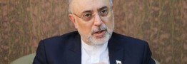 نامه ایران به آژانس/ رییس جمهوری باید دستور اقدام را صادر کند