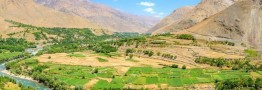 طالبان: مذاکره با سران پنجشیر شکست خورد؛ آماده جنگ هستیم