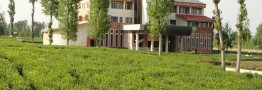 تغییرکاربری سالانه ۱۰  هزار هکتار از اراضی کشاورزی کشور