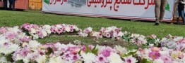 صدای دوباره کلنگ پتروشیمی میانکاله/هنوز نامه&zwnj;ای به محیط&zwnj;زیست ارسال نشده است