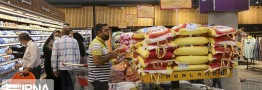 واردات ۷۰۰ هزار تن برنج؛ ثبات بازار در گرو تخصیص به&zwnj;موقع ارز