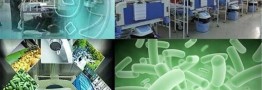 ابتلای ۳۷ نفر در کشور به وبا/ راهنمای کشوری مراقبت و درمان وبا ابلاغ شد
