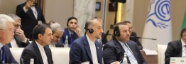امیرعبداللهیان: رفتارهای احساسی برای اروپا هزینه زاست/لزوم مشارکت اکو در حوزه انرژی
