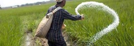 بحران کود و یک هشدار جدی برای امنیت غذایی جهان
