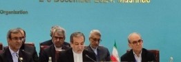 عراقچی بر گسترش همکاری&zwnj;های اقتصادی کشورهای عضو اکو تاکید کرد