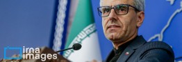 بقائی: ایرانیان برای پاسداشت مرزهای کشور حاضر به جانفشانی هستند