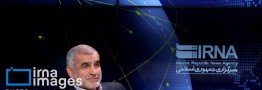 نیکزاد: مجلس برای تحقق شعار سال تلاش می&zwnj;کند/ توجه به تولید داخل، شاه بیت اقتصاد مقاومتی